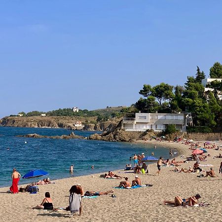 Studio Moderne Argeles Sur Mer.La Plage A Pieds, Espagne A 30Mn 외부 사진