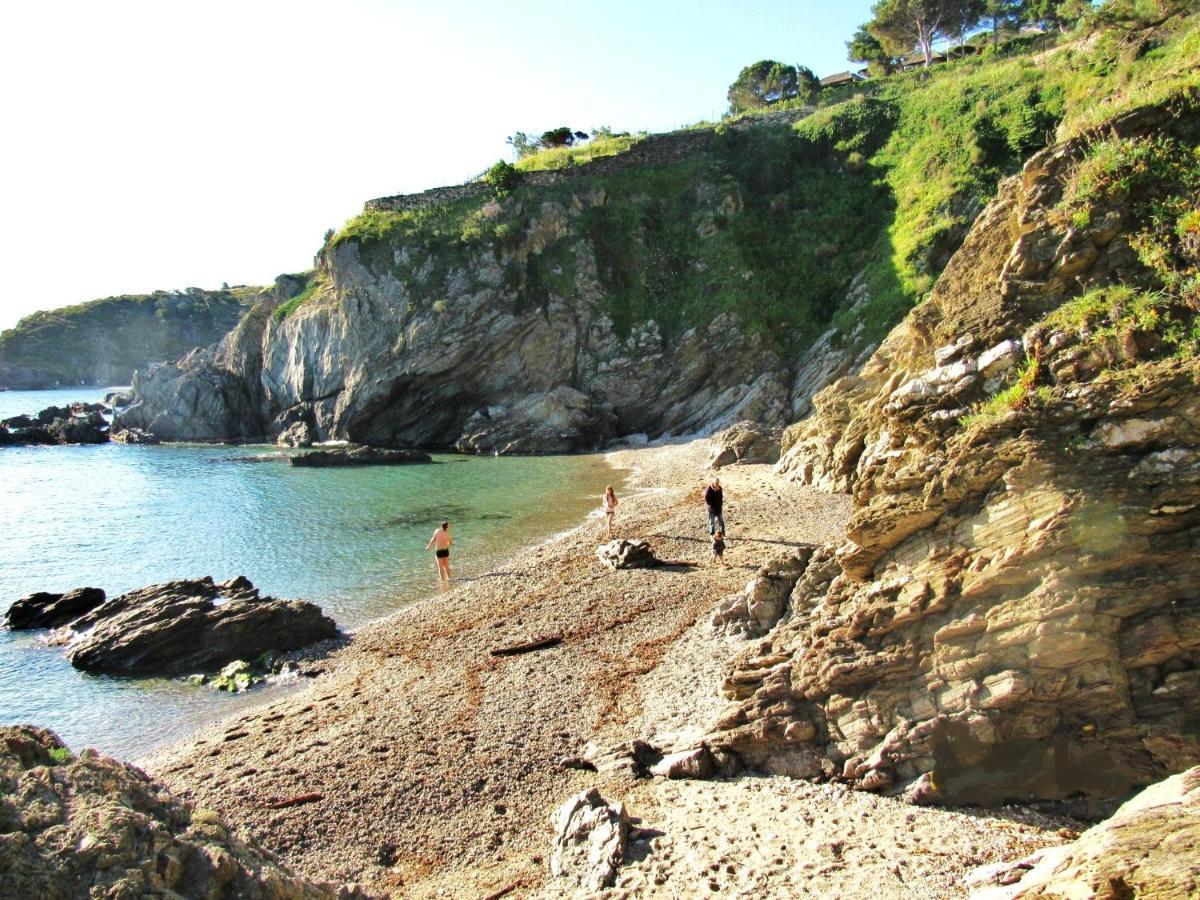 Studio Moderne Argeles Sur Mer.La Plage A Pieds, Espagne A 30Mn 외부 사진